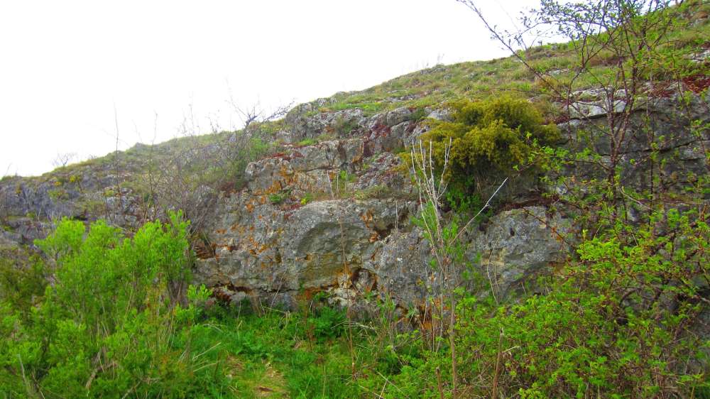 Felsen