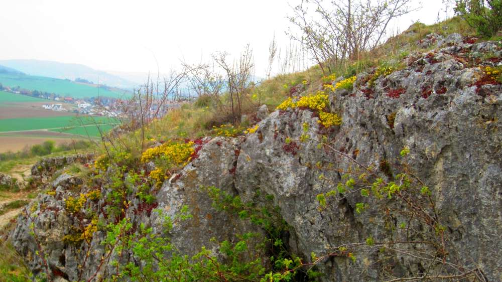 Felsen