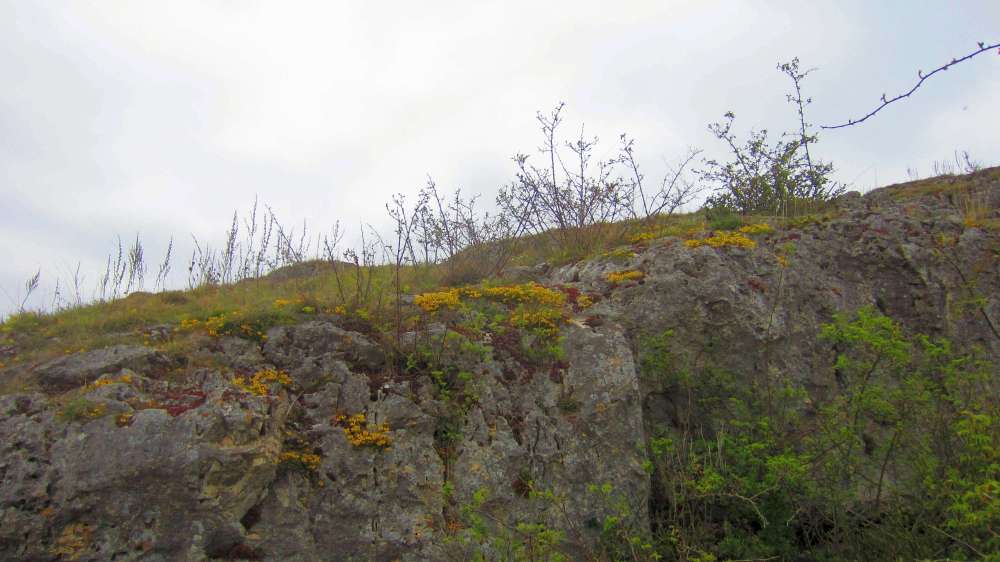 Felsen