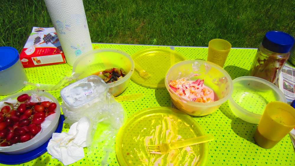 Picknick