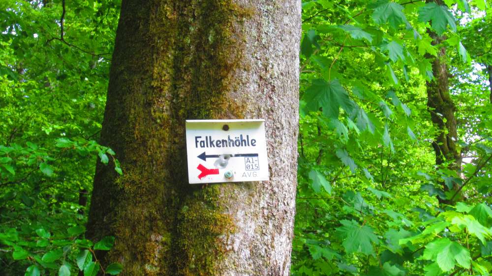 Falkenhoehle