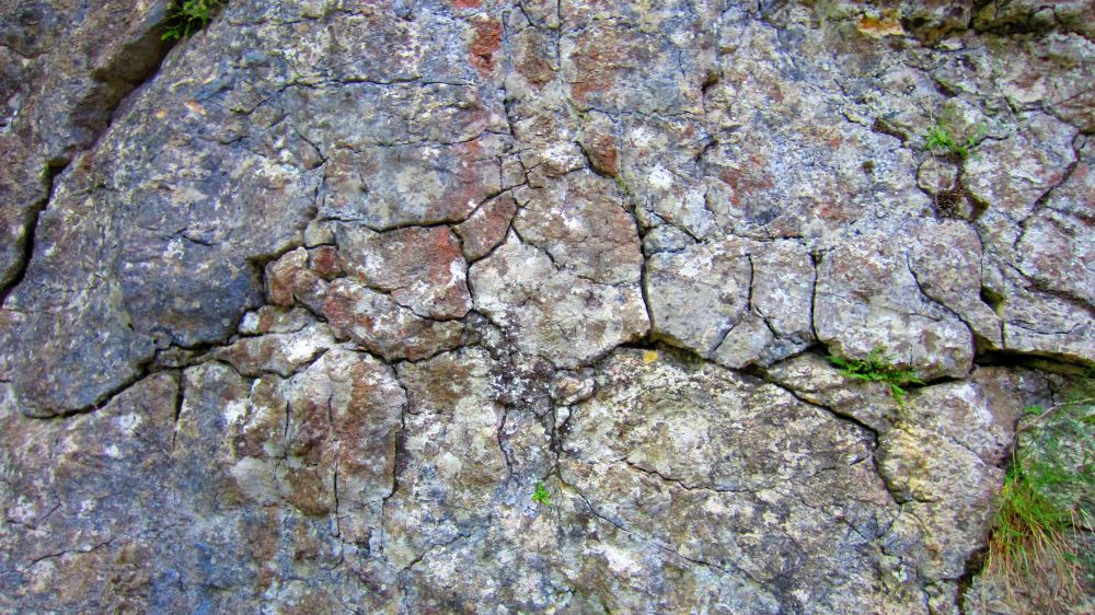 Felsen