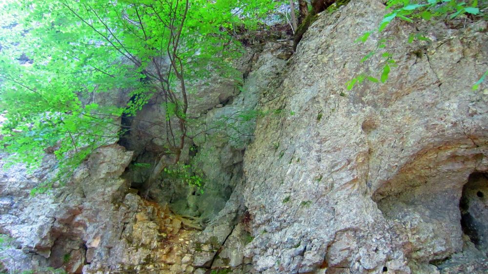 Felsen