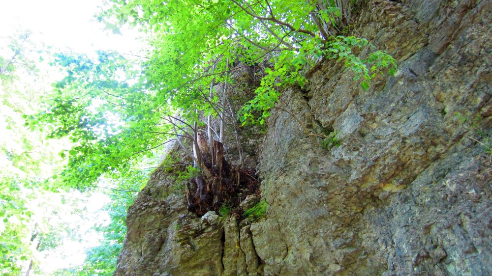 Felsen
