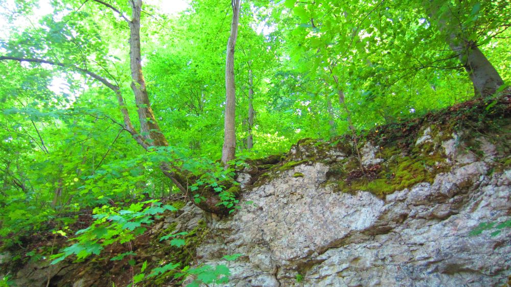 Felsen