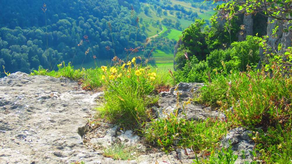 Felsen