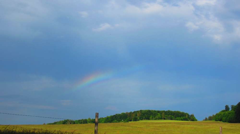 Regenbogen