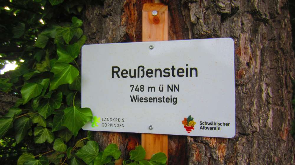 Schild