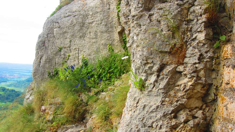 Felsen