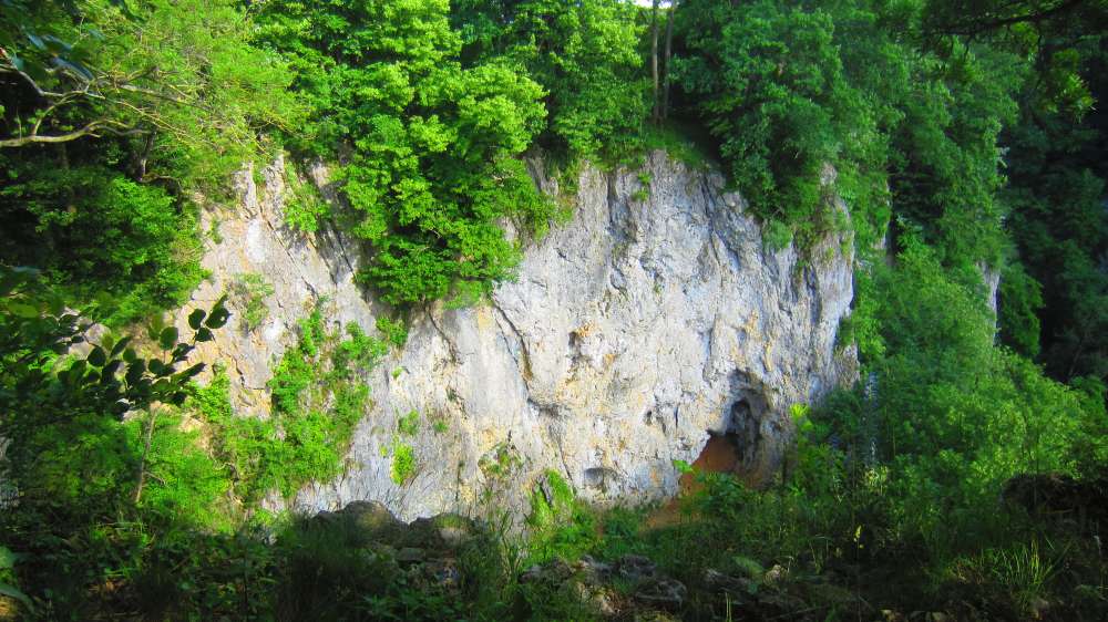 Kesselwand