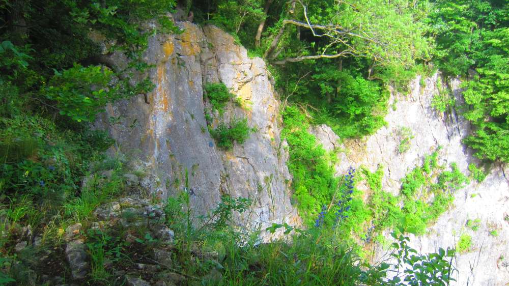 Kesselwand