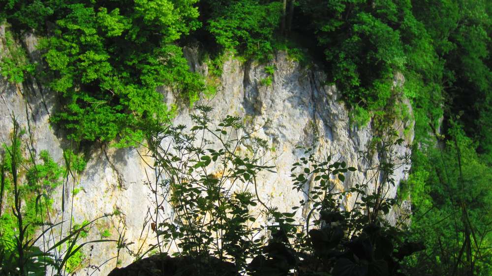 Kesselwand