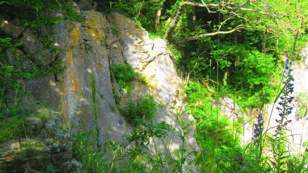Kesselwand