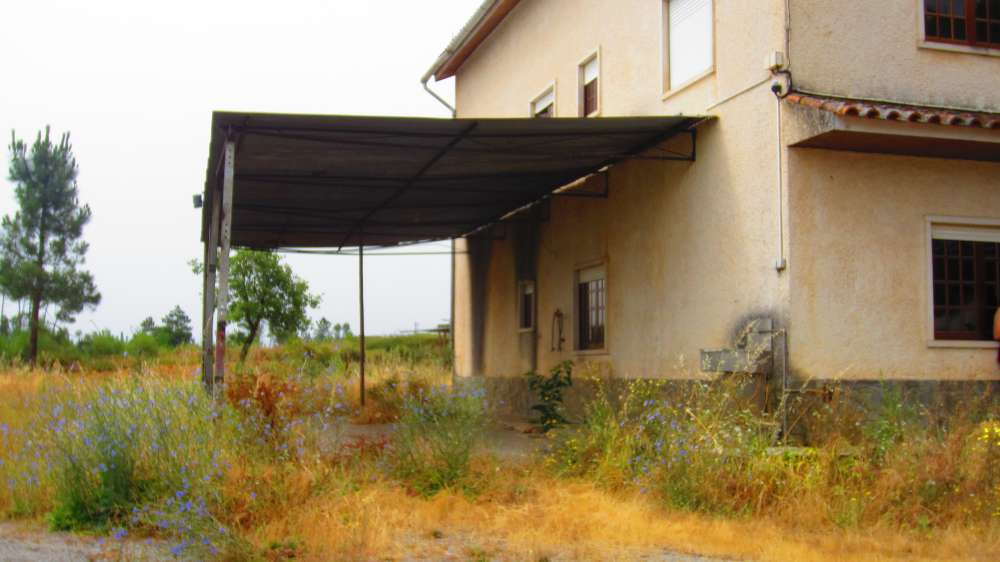 Graca