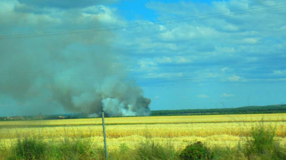 Brand