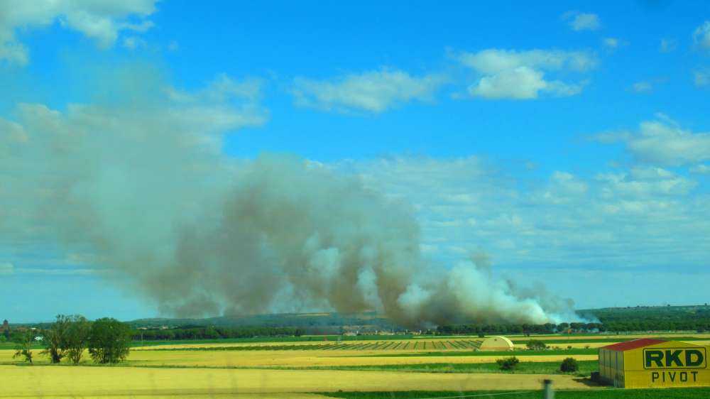 Brand