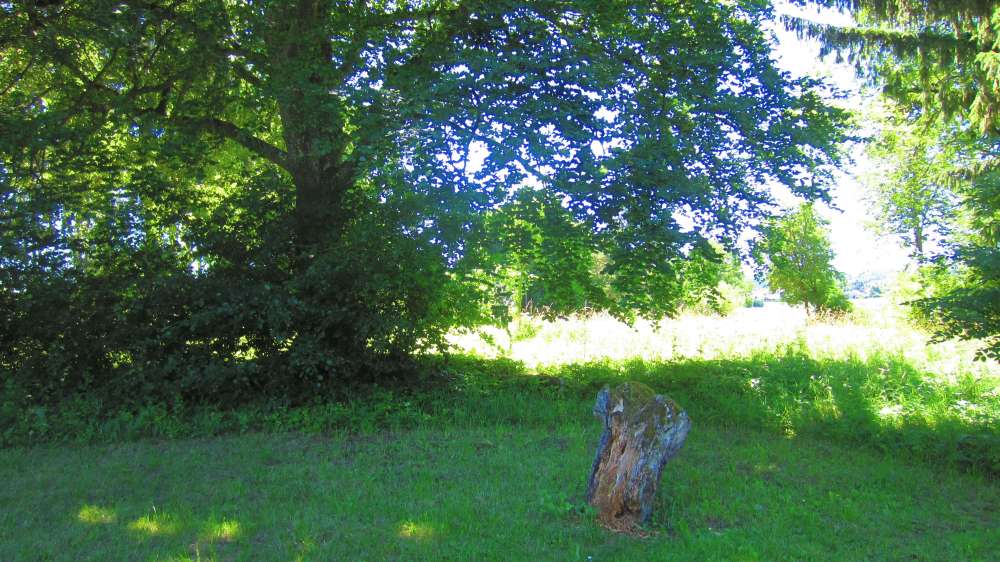 Picknickplatz