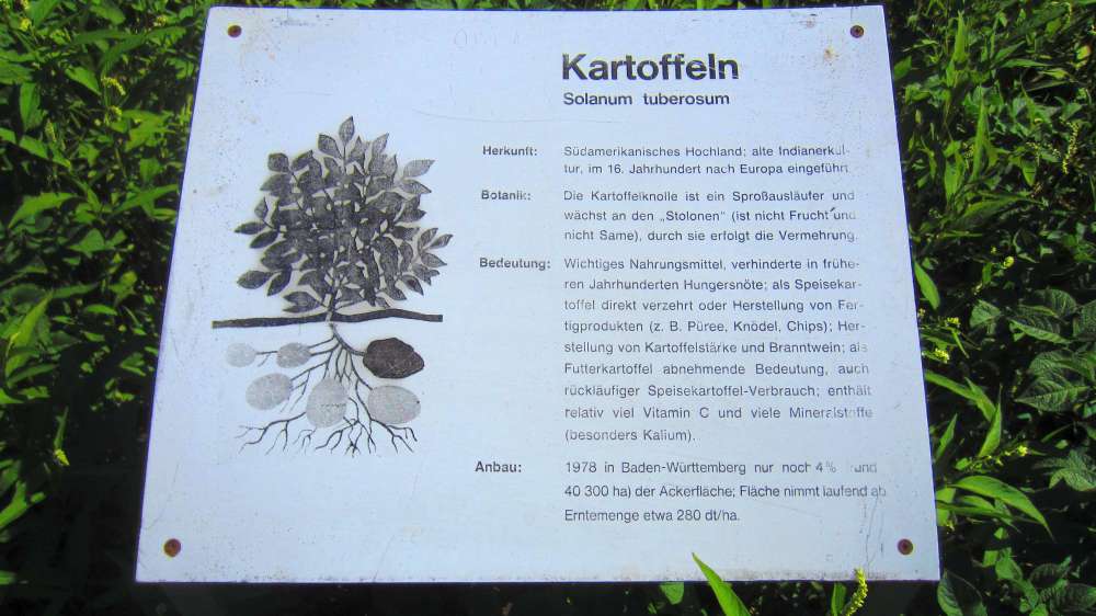 Kartoffeln