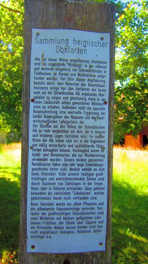 Schild