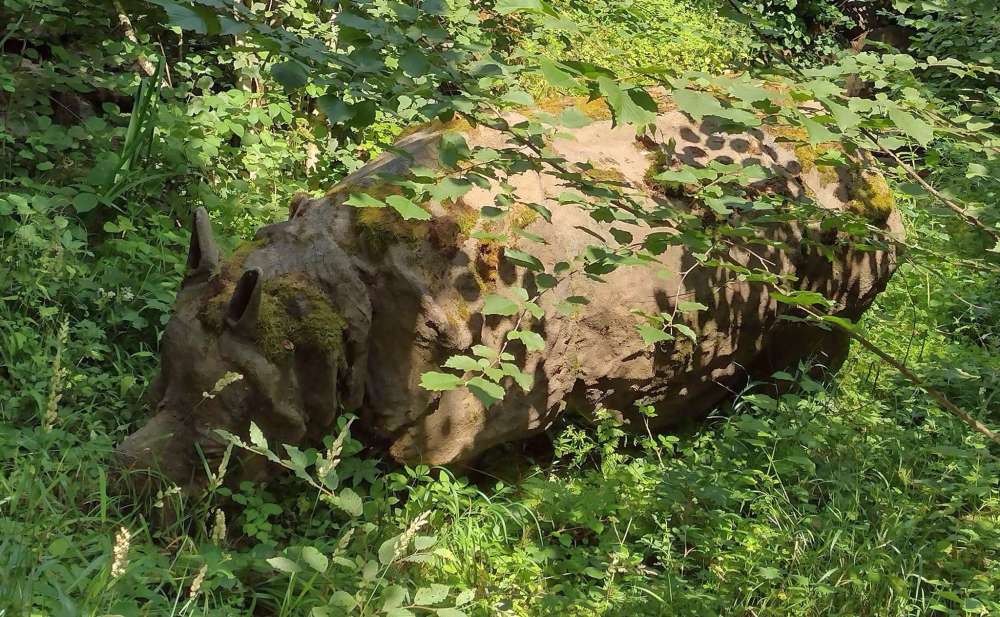 Rhinozeros
