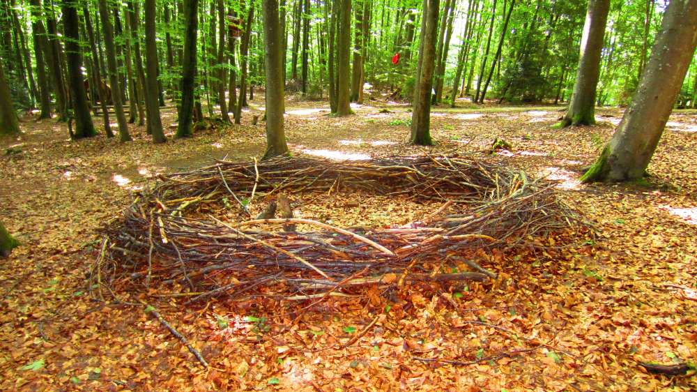 Nest