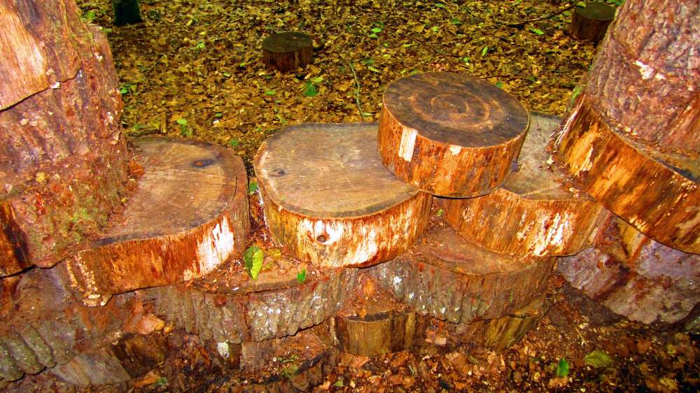 Holzschloss