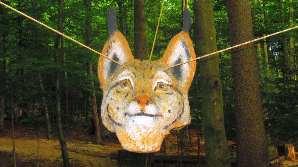 Holzluchs