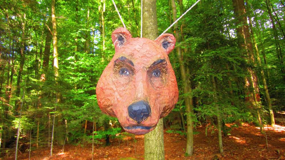 Holzbaer