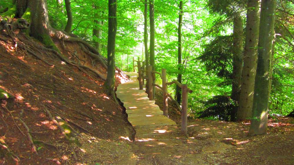 Hohlweg