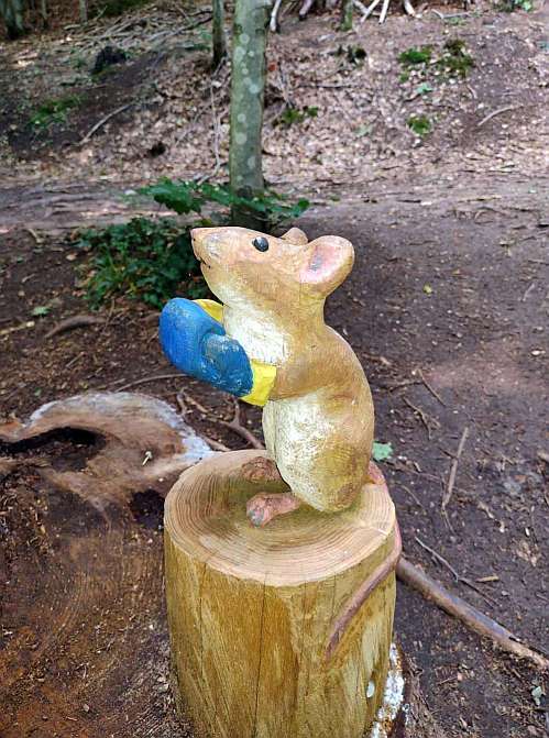 Maus