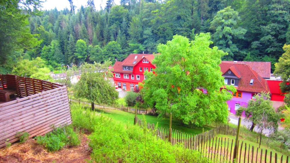 Haus