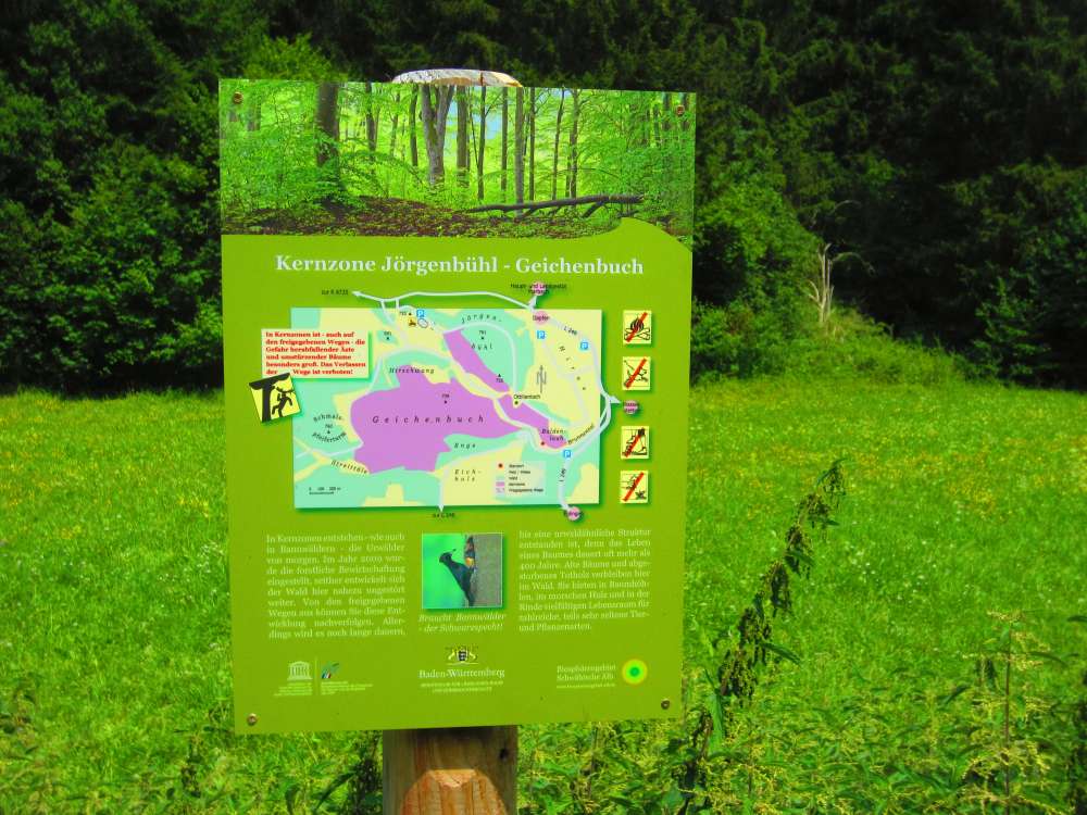 Schild