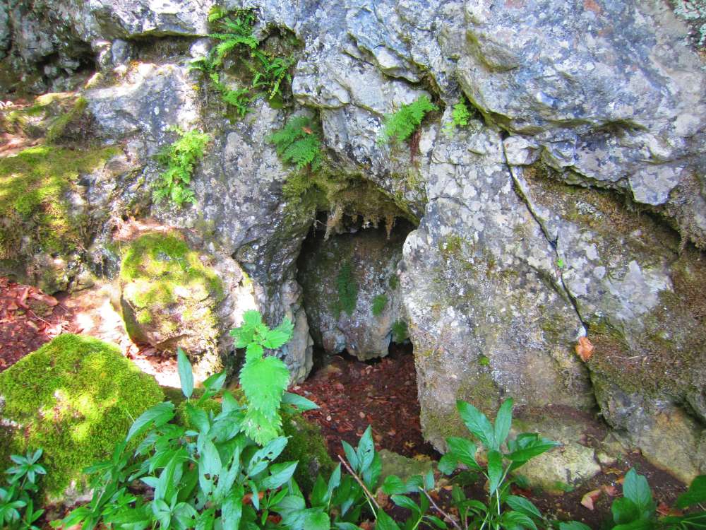 Felsen