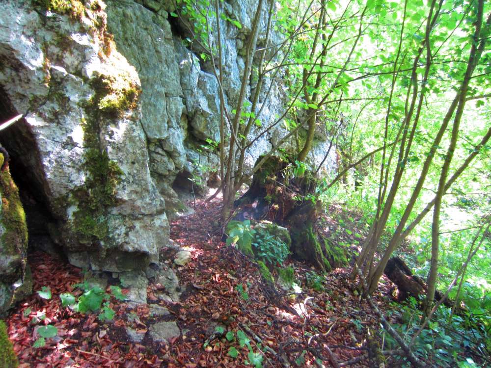 Felsen
