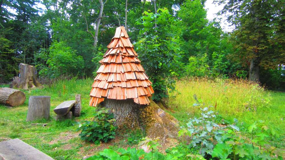 Wald