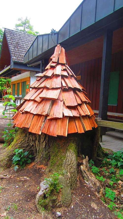 Wald