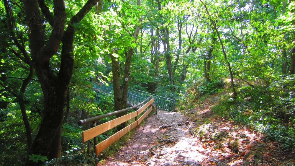 Wald