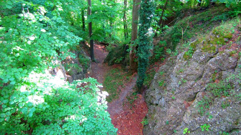 Wald