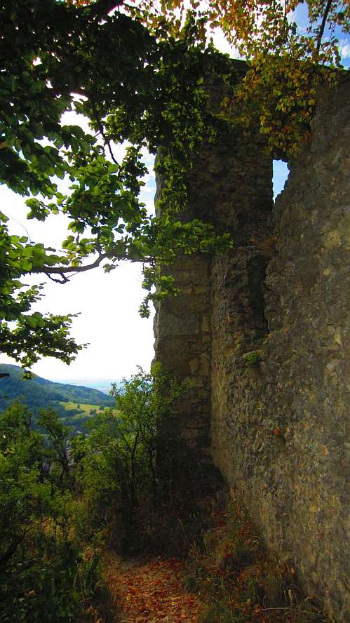 Ruine