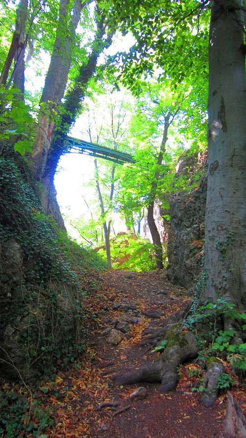Bruecke