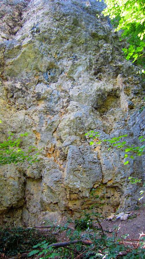 Felsen