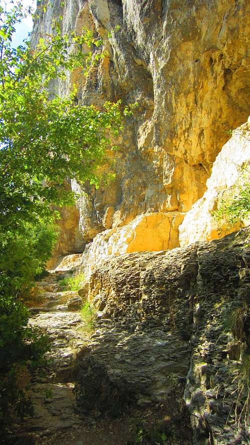 Felsen