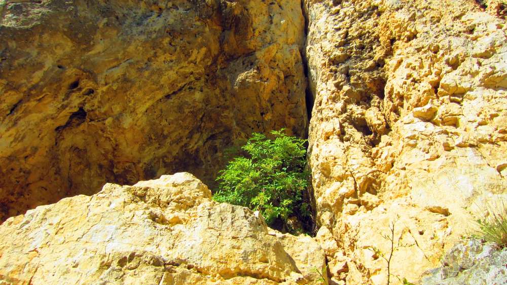 Felsen