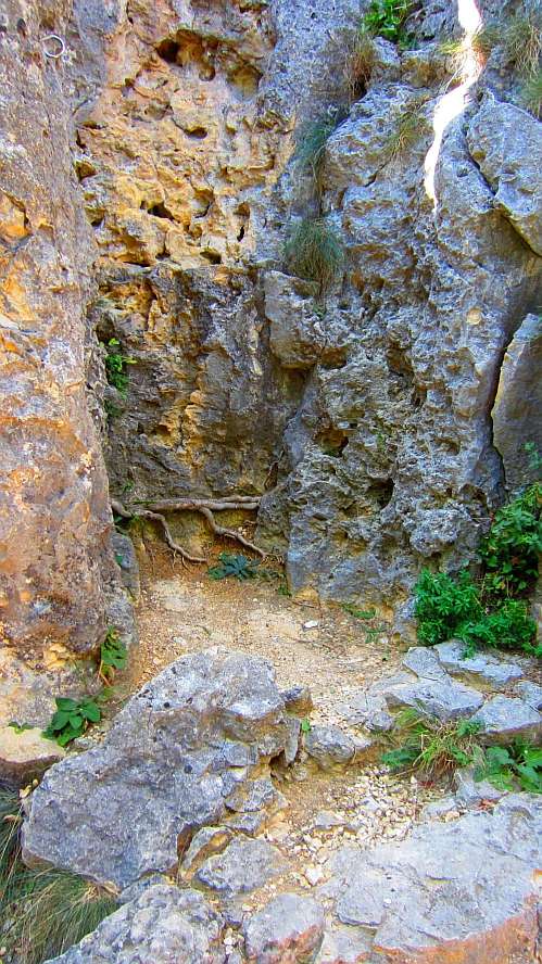Felsen