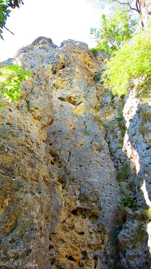 Felsen