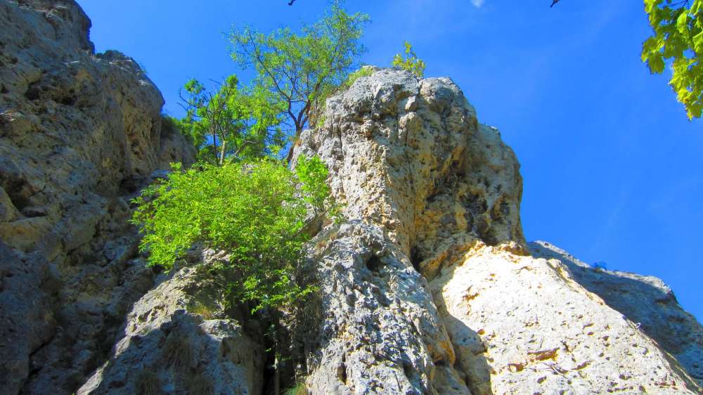 Felsen