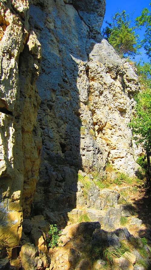Felsen