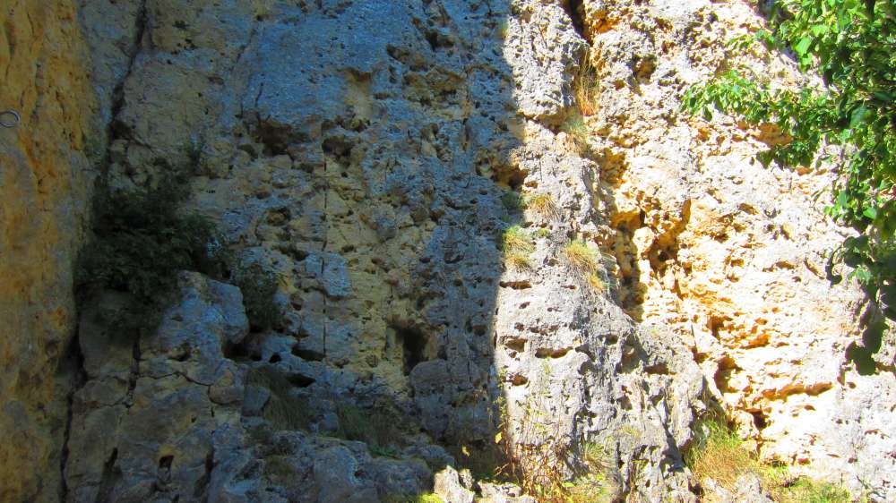Felsen