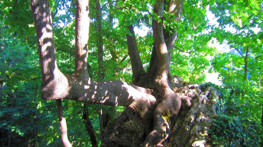 Dreieingangshoehle