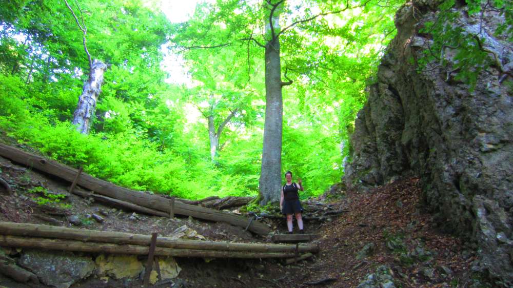 Wald